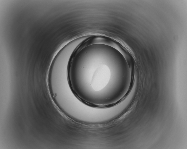 X0000116670893200912141338