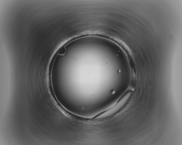 X0000116670894200912141338