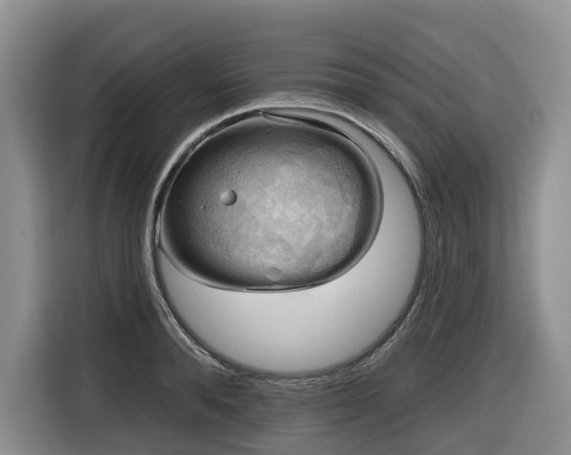 X0000116670896200912141338