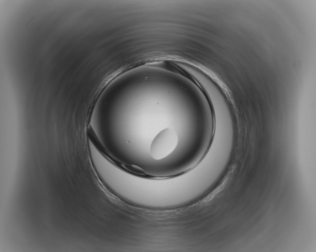 X0000116670897200912141338