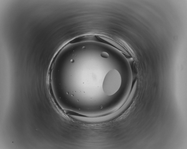 X0000116670900200912141338