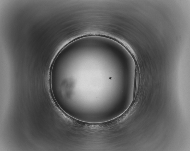 X0000116670903200912141338