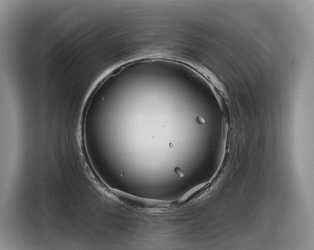 X0000116670904200912141338