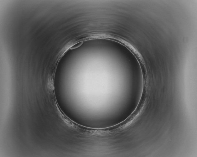 X0000116670905200912141338