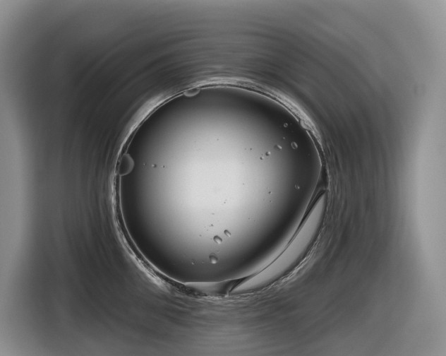 X0000116670906200912141338