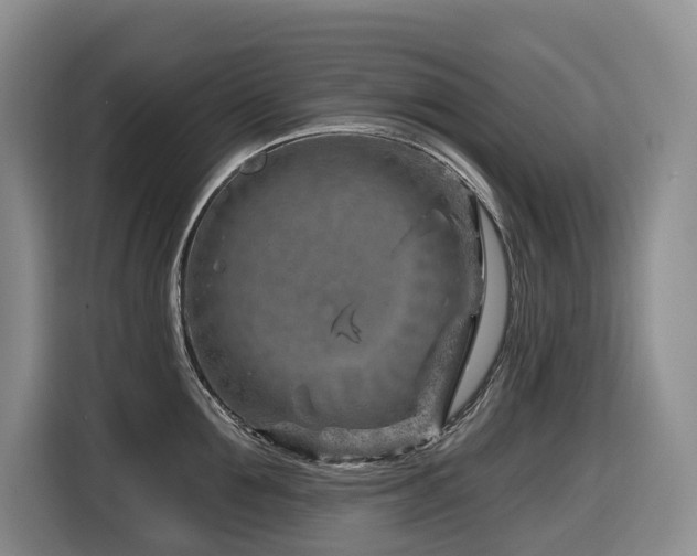 X0000116670907200912141338