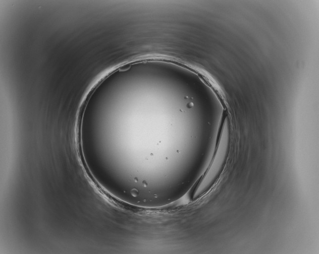 X0000116670910200912141338