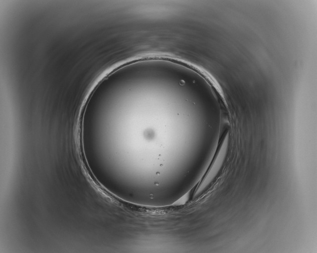 X0000116670911200912141338