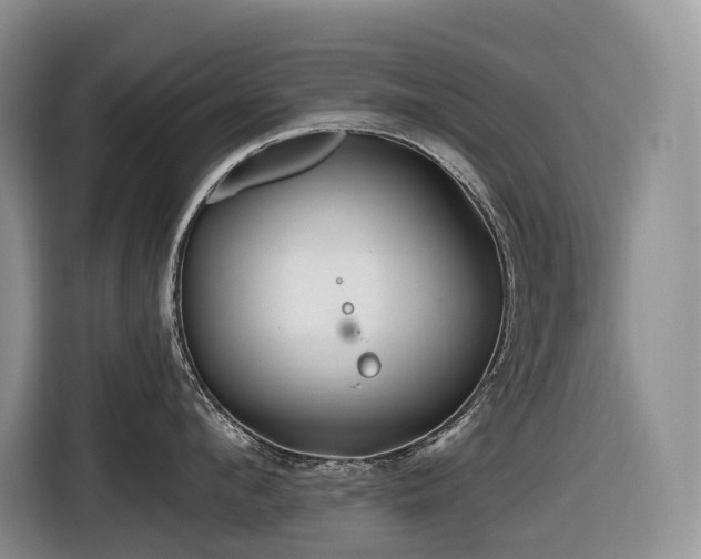 X0000116670912200912141338