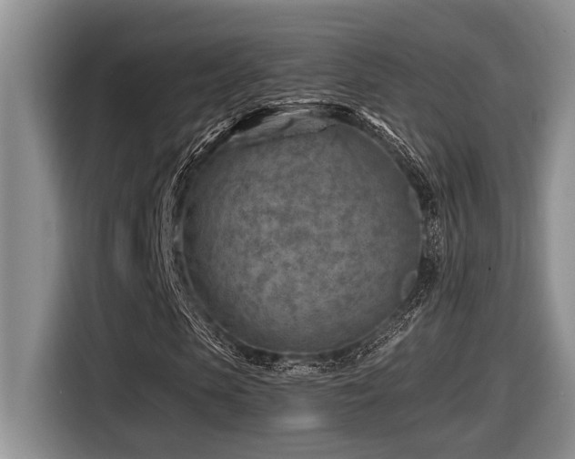 X0000116670913200912141337