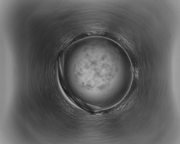 X0000116670915200912141337