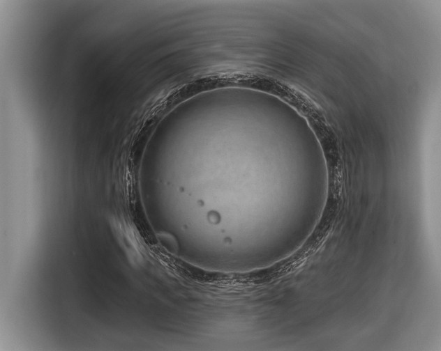 X0000116670917200912141337