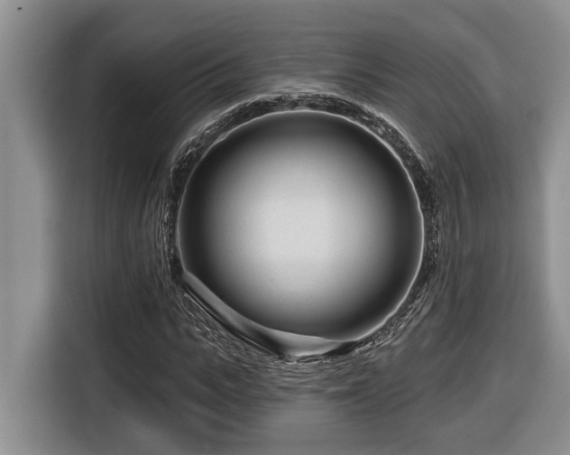 X0000116670919200912141337