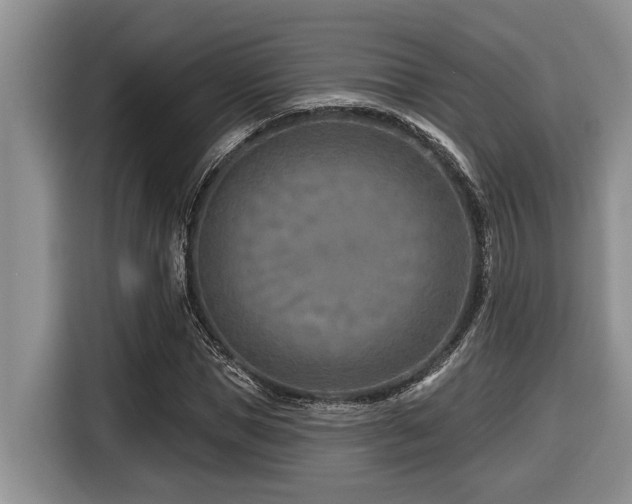 X0000116670921200912141337