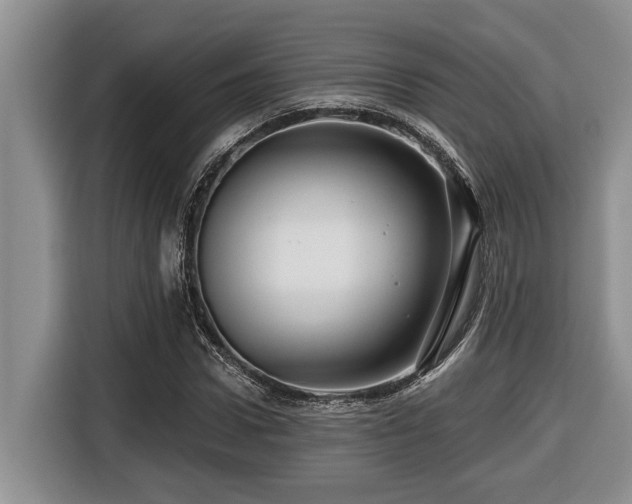 X0000116670922200912141337