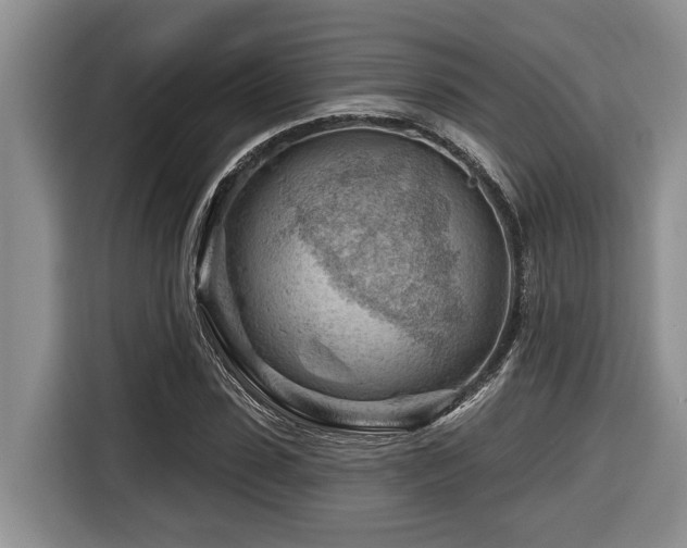 X0000116670923200912141337