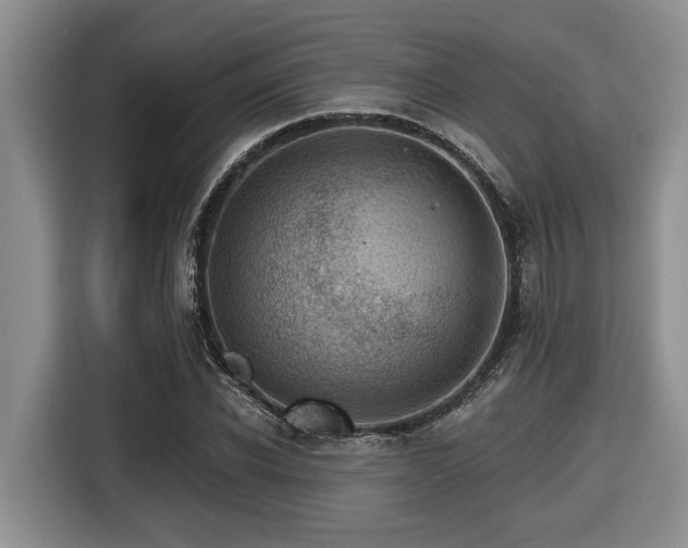 X0000116670926200912141337