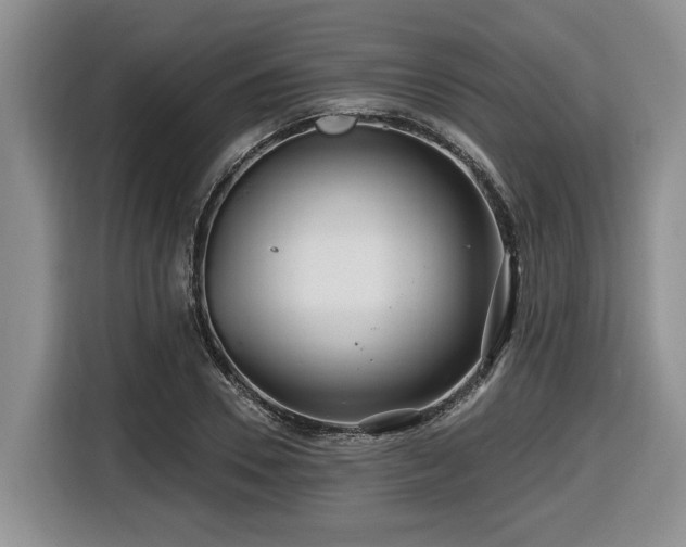 X0000116670930200912141337