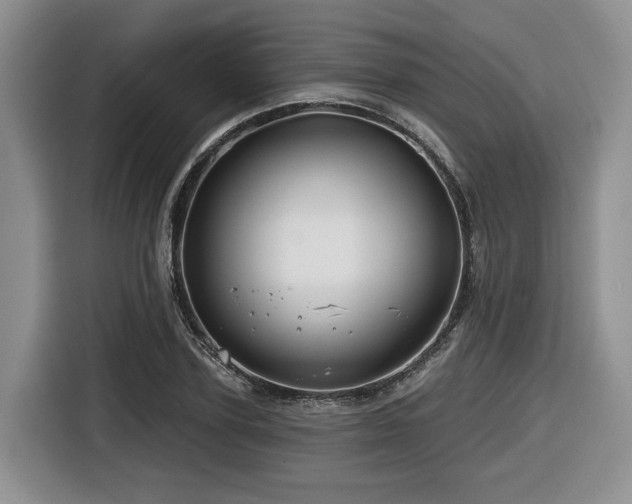 X0000116670931200912141337