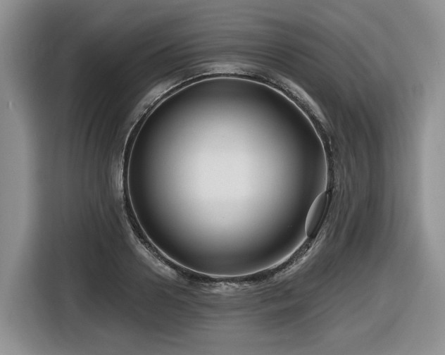 X0000116670938200912141338