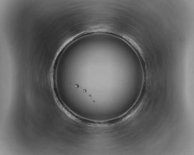 X0000116670941200912141338