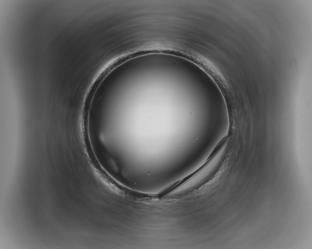 X0000116670942200912141338