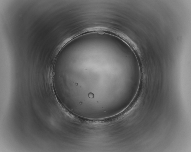 X0000116670945200912141338