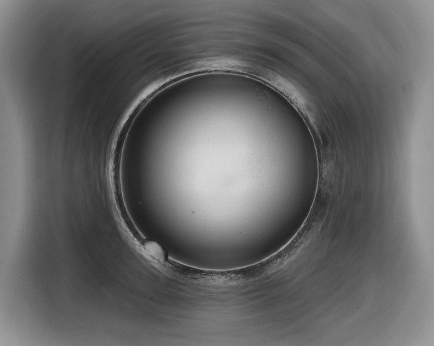 X0000116670947200912141338