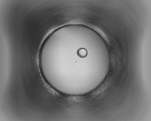 X0000116670950200912141338