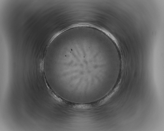 X0000116670953200912141338