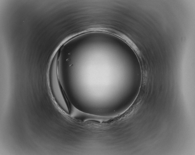 X0000116670955200912141338