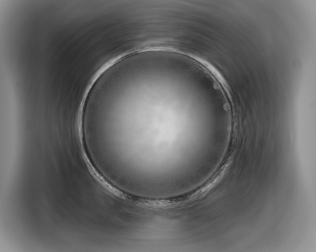 X0000116670957200912141338