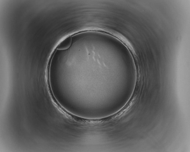 X0000116670958200912141338