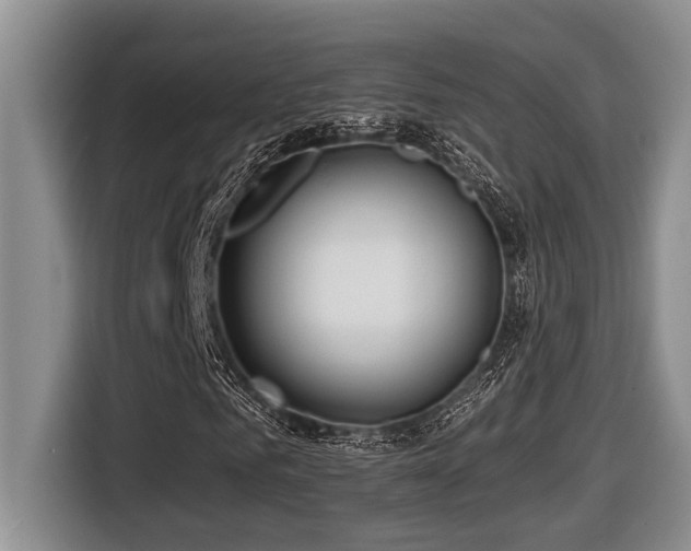 X0000116670961200912141337