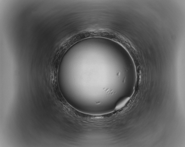 X0000116670966200912141337