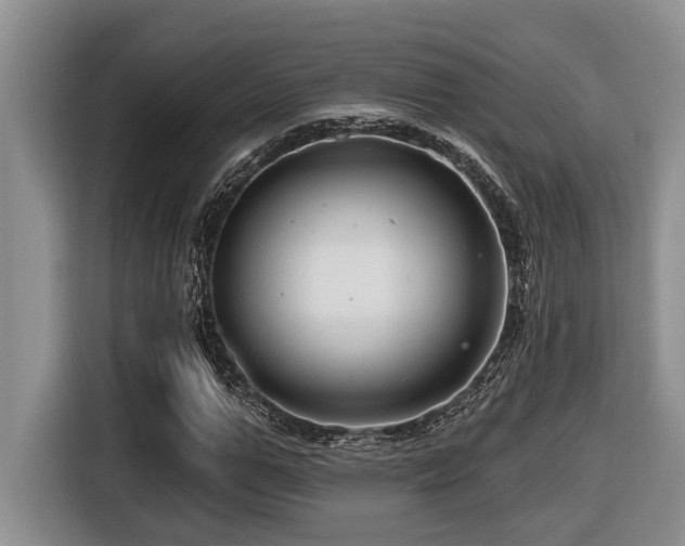 X0000116670967200912141337