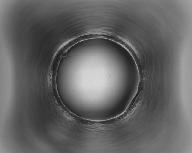 X0000116670971200912141337