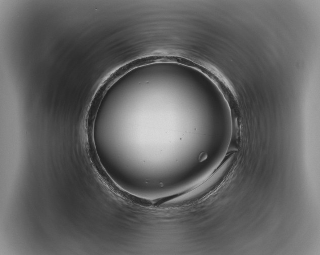 X0000116670972200912141337