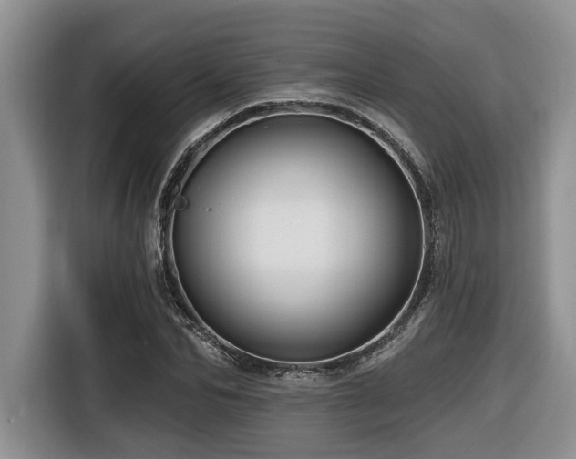 X0000116670974200912141337