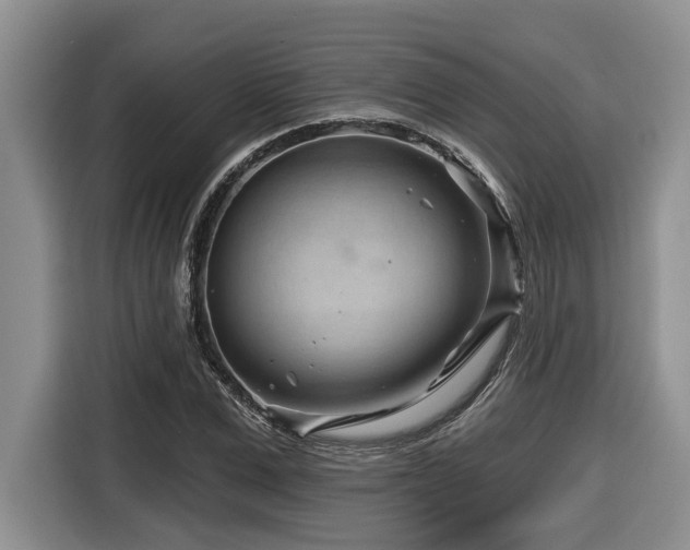 X0000116670975200912141337