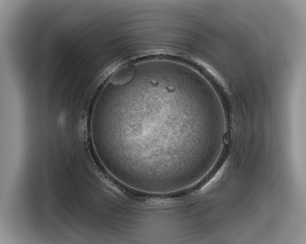 X0000116670977200912141337