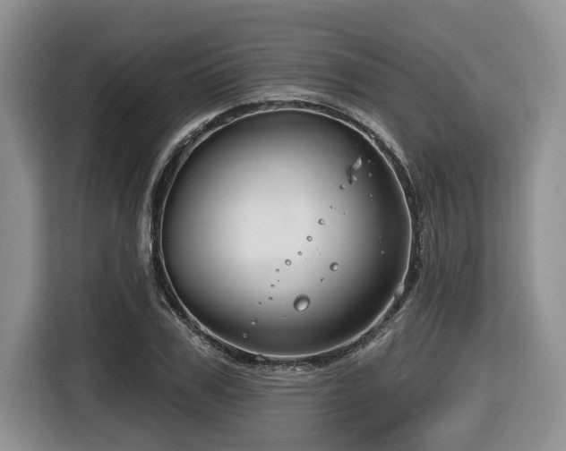 X0000116670979200912141337