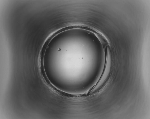 X0000116670983200912141337