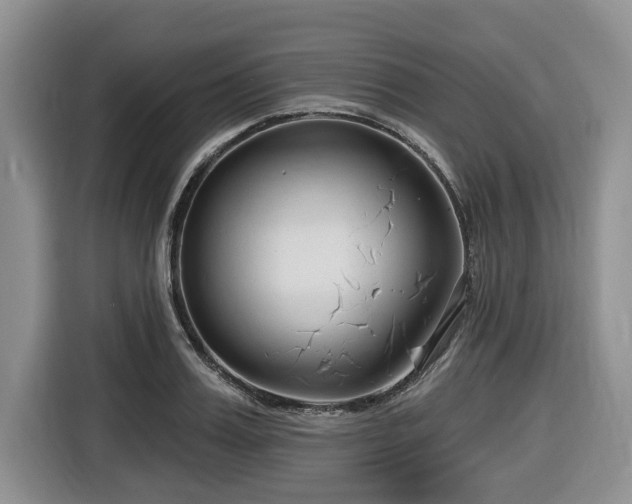 X0000116670987200912141337