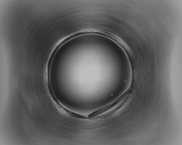 X0000116670988200912141337