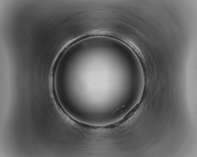 X0000116670992200912141337