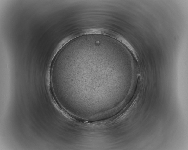 X0000116670994200912141337