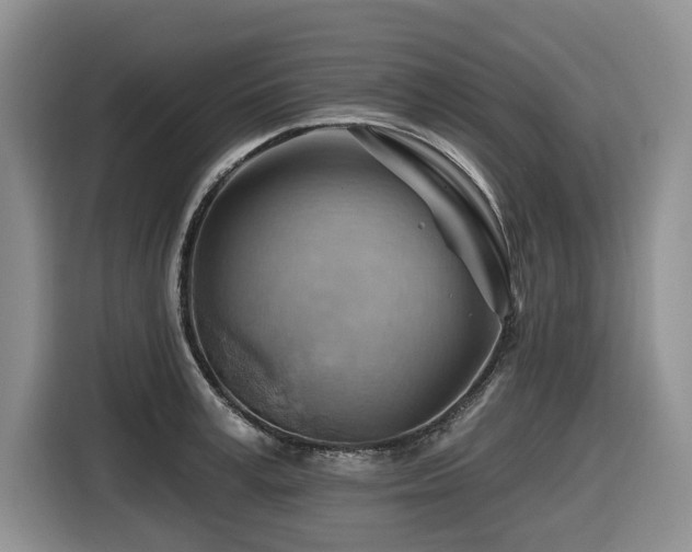 X0000116670995200912141337