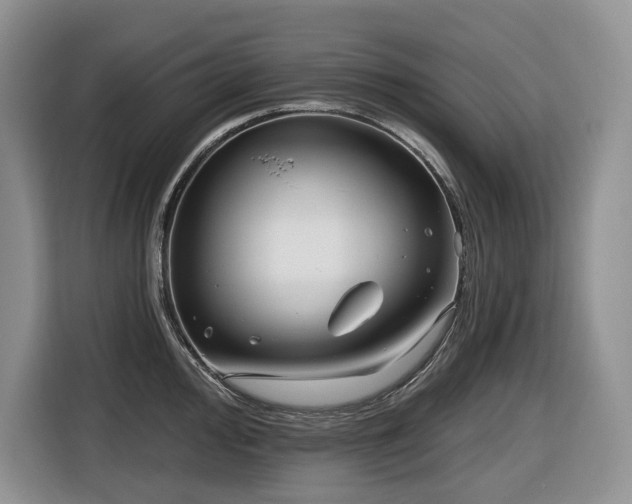 X0000116671000200912141337