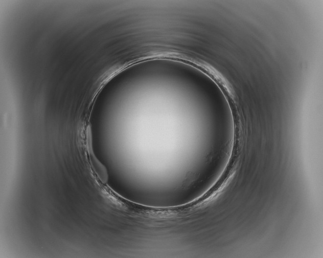 X0000116671001200912141337